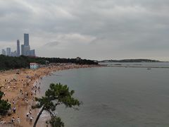 -青岛海滨风景区