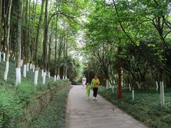 -重庆彩云湖湿地公园