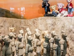 -济州岛泰迪熊博物馆