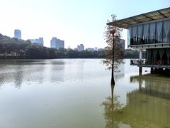 -鹿鸣酒家(越秀店)