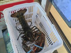 -Sasa的海(蜈支洲岛后海店)