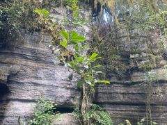 -梭布垭石林景区