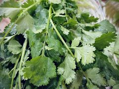 香菜-元盛居(生态大街店)