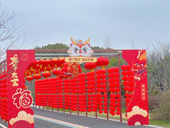 -同里国家湿地公园