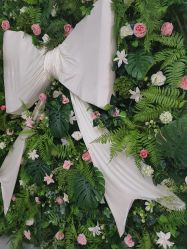 -梵梦影像馆(绿博园店)