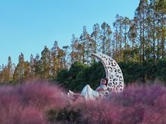 -嘉北郊野公园
