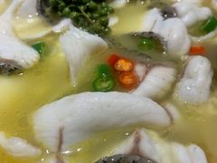 -青花椒花椒鱼(合生汇店)