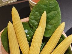 -季季山•云南野生菌火锅(上海首店)
