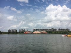 -上海长兴岛郊野公园