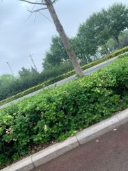 -HEYAN长风荷妍专业脱毛美肤

