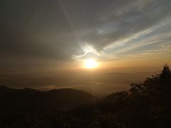 -武陵山森林公园