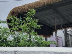 -清漾毛氏文化村