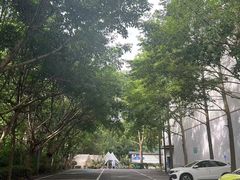 -东坡羽毛球馆(东坡南一路店)