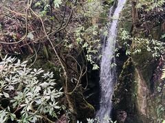 -鹿院坪生态旅游景区