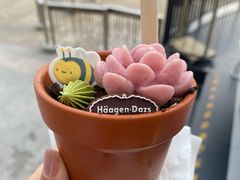 -哈根达斯(滨江店)