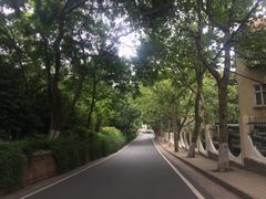 -不舍昼夜咖啡馆