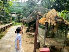 -呀路古热带植物园