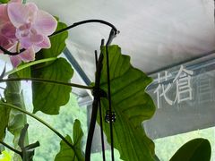 -花仓咖啡(祥安巷店)