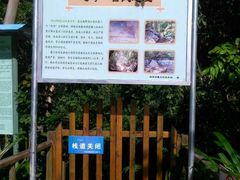 -海南霸王岭国家森林公园
