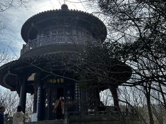 -镇江市南山风景名胜区竹林景区