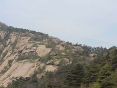 -鲁山国家森林公园