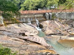 -广州白江湖森林公园