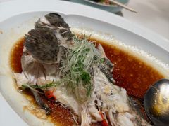 -荣兴酒家(徐家汇店)