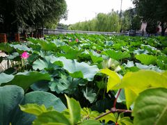 -中央戏剧学院(昌平校区)