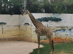 -昆明动物园
