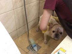 -美联众合动物医院·24h京西诊疗中心