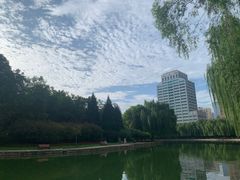 -团结湖公园