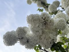 -浙里会