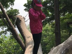 -阳台山自然风景区