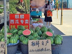 -南竺园市场