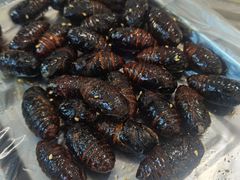 -丹东果园核桃烤肉(凤城店)