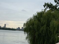 -金鸡湖桃花岛