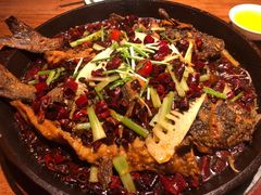 -老板恋上鱼(高新万达店)