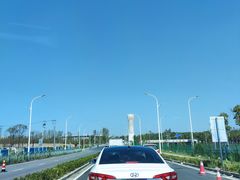 -上海滨江森林公园·停车场