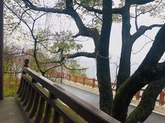 -杭州半山国家森林公园