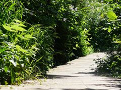 -白草畔自然风景区