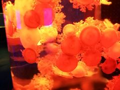 -多彩贵州城极地海洋世界