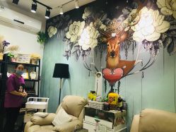 -甲舍美甲美睫艺术馆