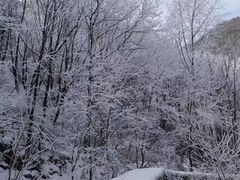 -秦岭终南山世界地质公园翠华山景区