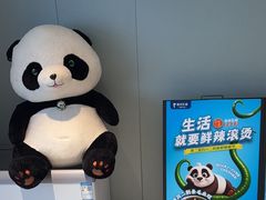 -眉州东坡(望京店)