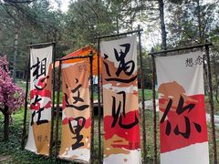 -玉泉威虎山森林公园