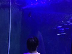 -辛玛王国游乐园