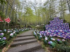 -山沟沟景区
