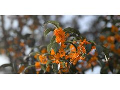 -上海浦江郊野公园-4号停车场