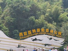 -西双版纳原始森林公园
