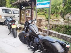 -MOJ coffee(瓯海泽雅水碓坑店)